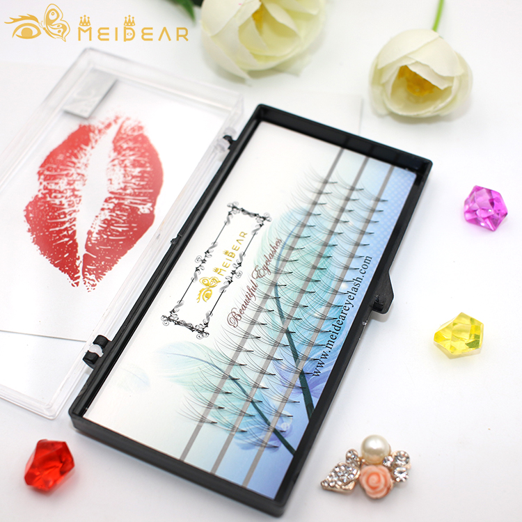 Private label packaging for premade fans volume eyelash extension with lowest price